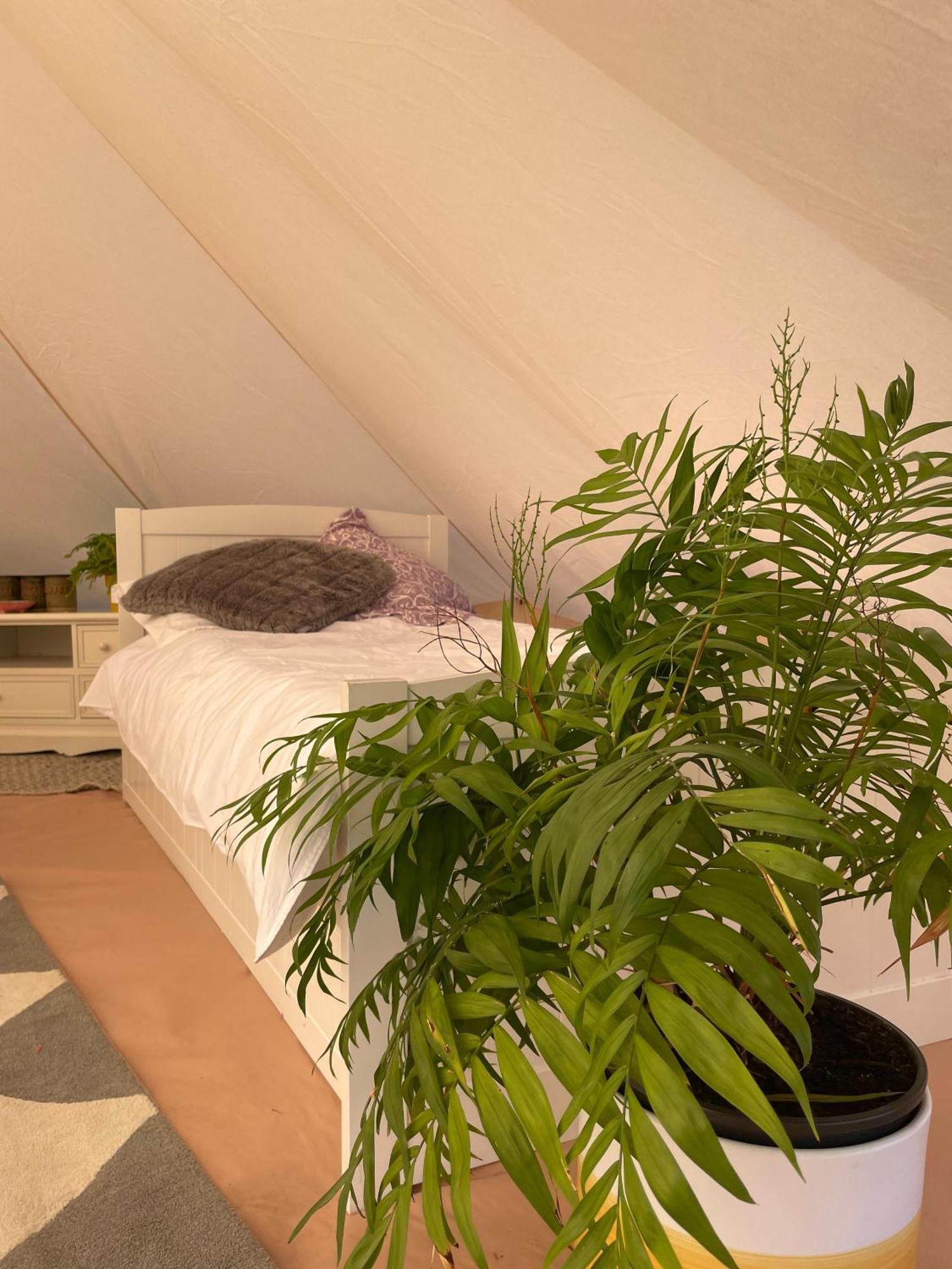 Trevena Cross Glamping & Camping Хелстон Экстерьер фото